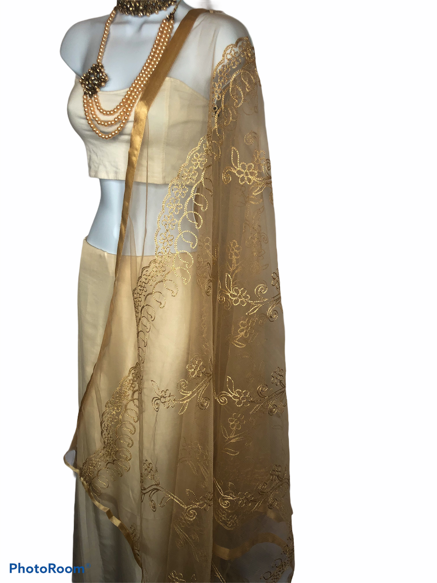 Gold Net Dupatta with Threadwork